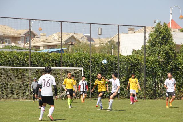 ued官网体育公司简介展示图